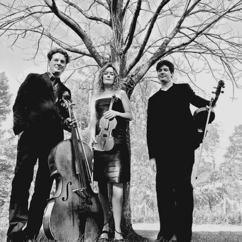 Black Oak Ensemble