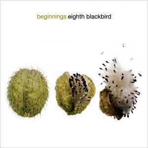 eighth blackbird: beginnings