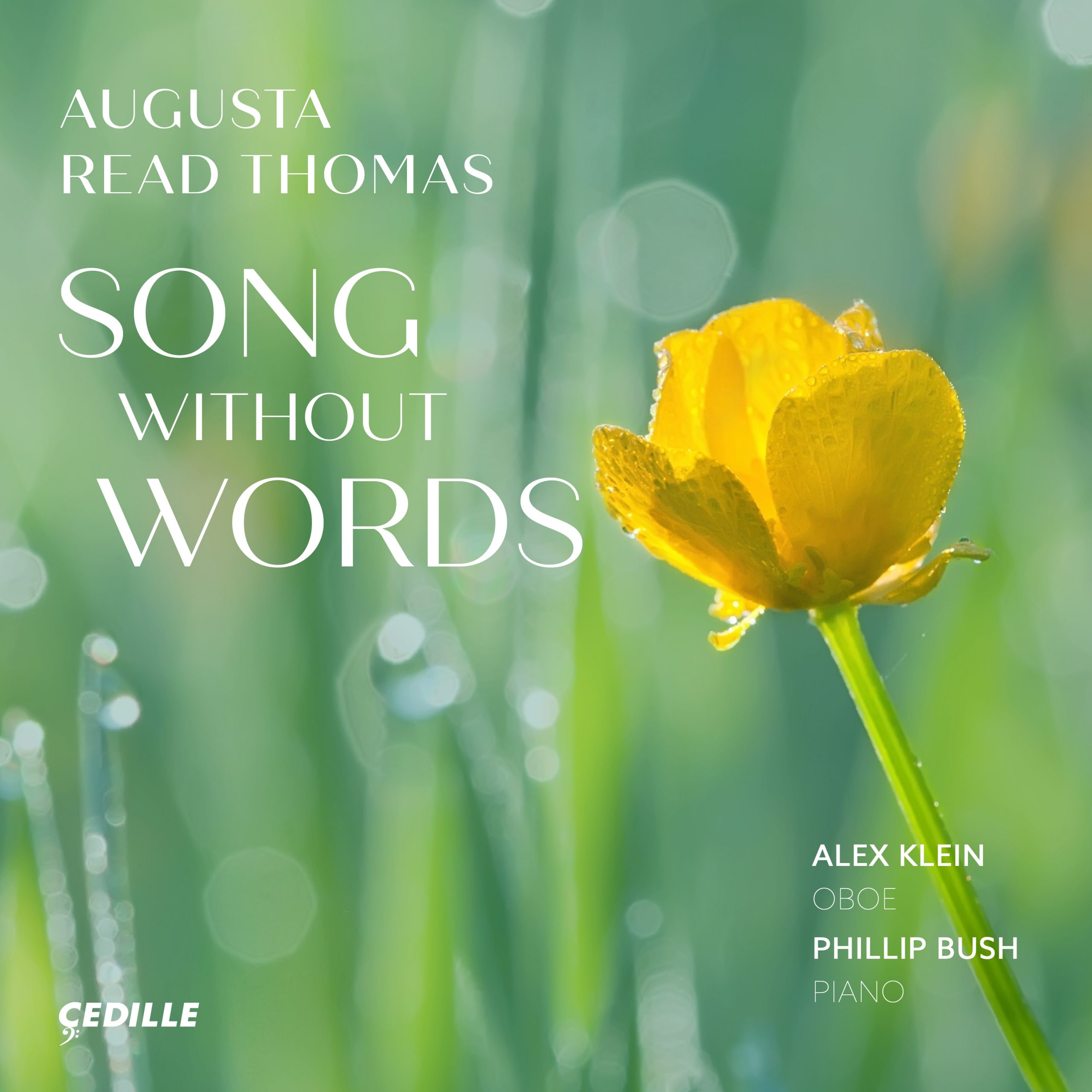 Song Without Words Cedille Records