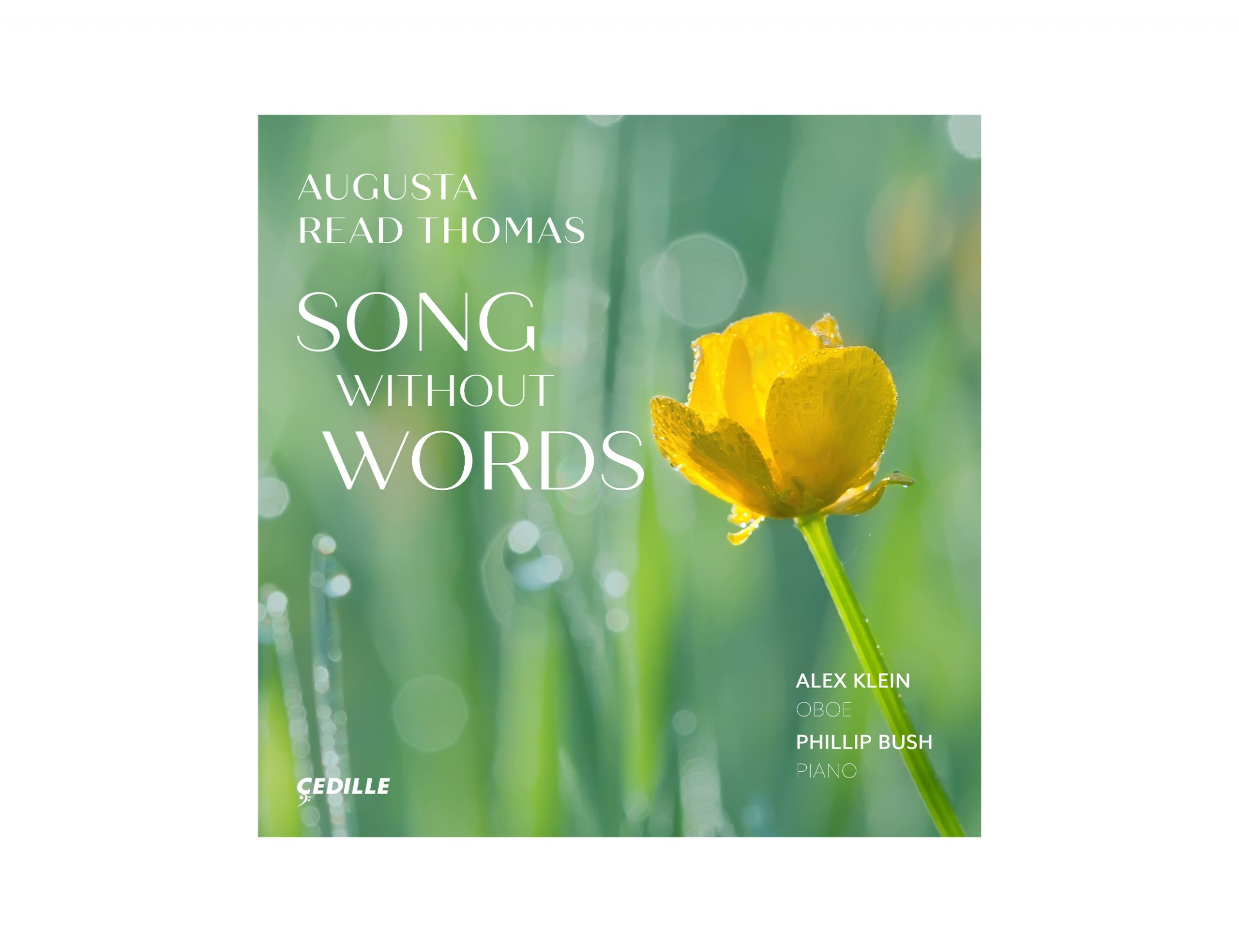 New Single Release Song Without Words Cedille Records